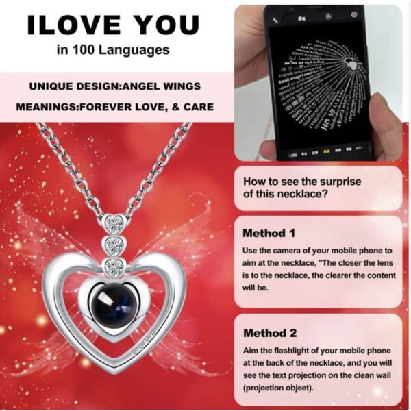 Preserved Real Rose Box with I Love You Necklace 100 Languages - 图片 4