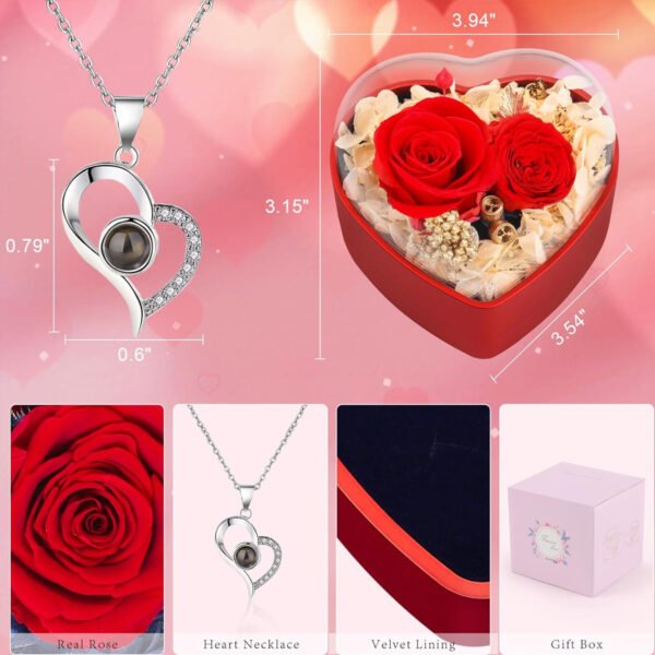Eternal Roses Flower Gifts Preserved Rose with Heart Necklace - 图片 3
