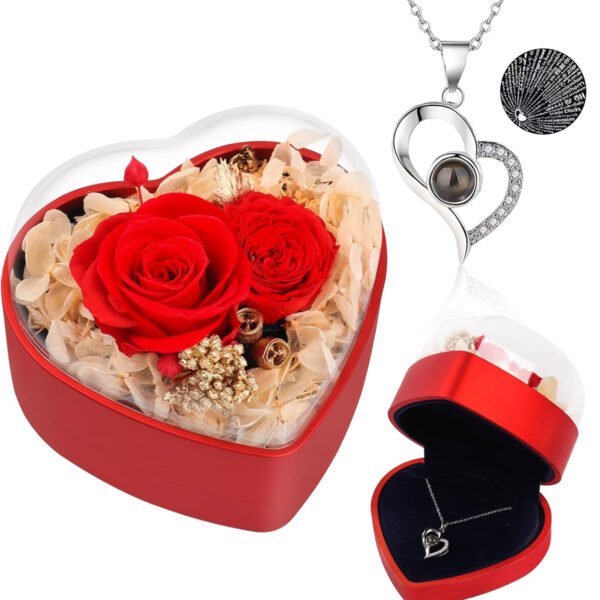Eternal Roses Flower Gifts Preserved Rose with Heart Necklace